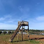 Solar Dos Caldeira E Bourbon Gospodarstwo wiejskie Zebras