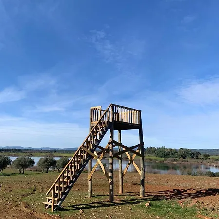 Solar Dos Caldeira E Bourbon Country house Zebras