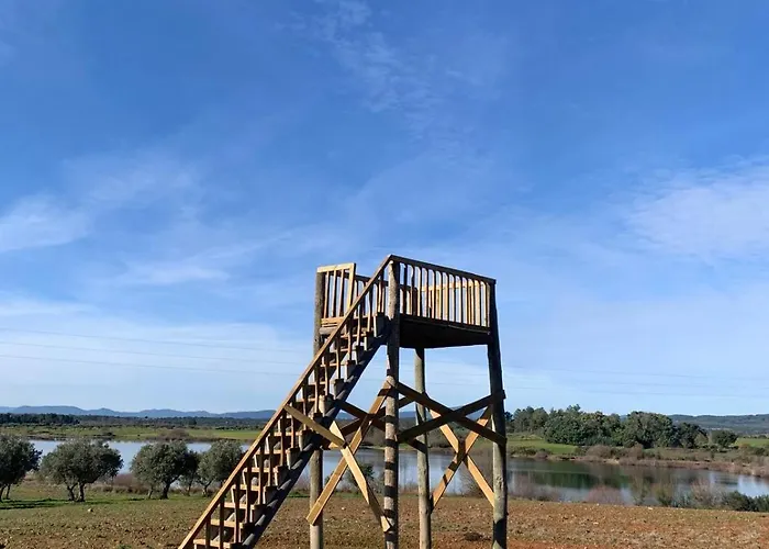 Solar Dos Caldeira E Bourbon Gospodarstwo wiejskie Zebras